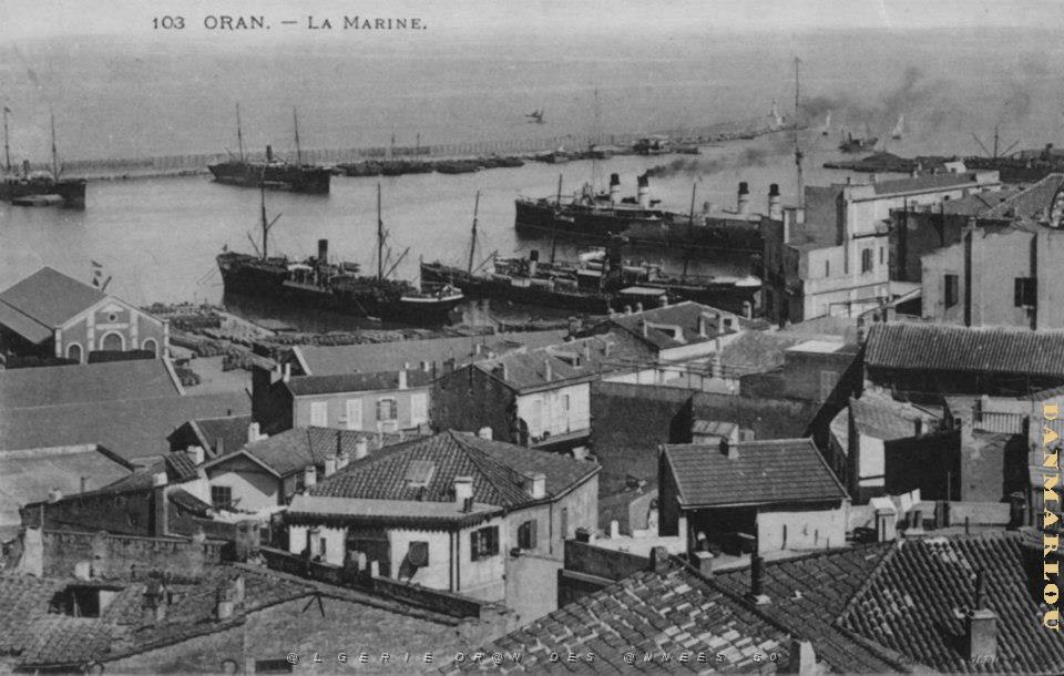 vue d oran (8).jpg